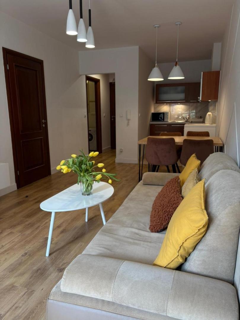 Apart4You Apartamenty Bulwary25 Закопане Екстер'єр фото