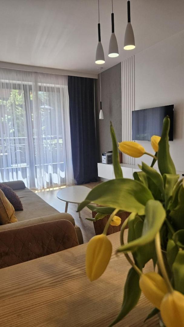 Apart4You Apartamenty Bulwary25 Закопане Номер фото